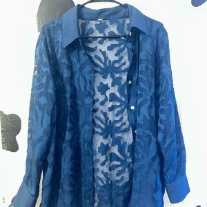 Sheer Blue Button-Up Blouse